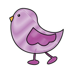 cute little bird walking vector illustration design