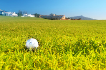 Golf ball on the green grass of a golf field