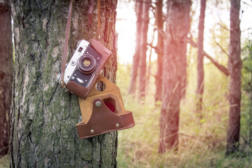 Old retro camera in forest