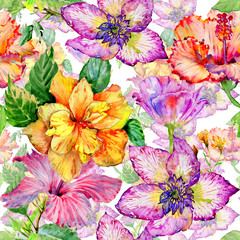 Wildflower hibiscus flower pattern in a watercolor style isolated.