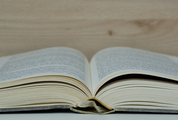 Lesen