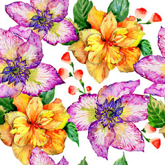 Wildflower hibiscus flower pattern in a watercolor style isolated.