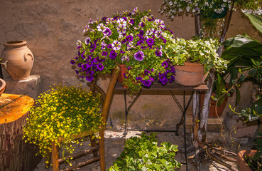 Decorazioni floreali: vasi di fiori in giardino sulle sedie
