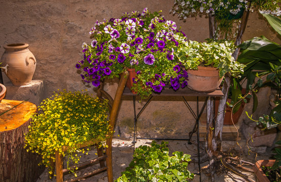 Decorazioni floreali: vasi di fiori in giardino sulle sedie