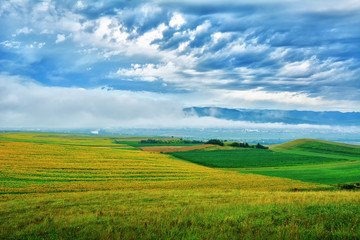 Obraz premium Transylvania - wheat stalk and sunflower
