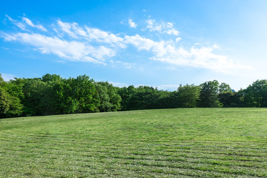 Blue sky and spring park 4