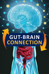 Gut-brain connection or gut brain axis. Concept art showing a connection from the gut to the brain. 3d illustration.