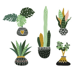 Hand drawn tropical house plants. Scandinavian style illustration, modern and elegant home decor. Vector design elements.