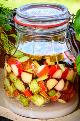 Rhubarb and vanilla sugar on Vodka