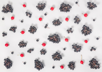 flat lay trendy seamless pattern with different chokeberry berries, aronia and briar, dog rose like background, concept of healthy eating, dieting