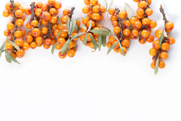 top view of  beautiful fresh sea buckthorn berries, concept of healthy eating, dieting