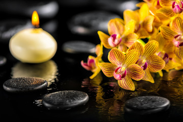 beautiful spa composition of blooming twig orange orchid flower with water drops, candle and zen basalt stones, close up