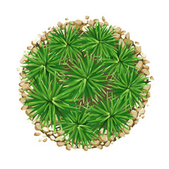 Vector Mini Mondo Grass, small tree with small stone, circle shape design background, illustration