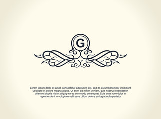 Calligraphic Luxury line logo. Flourishes elegant emblem monogram. Royal vintage divider design