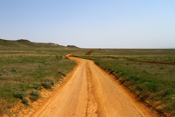 Fototapeta na wymiar Dry dirt road in steppe