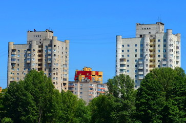 the trees on the background buildings and sky