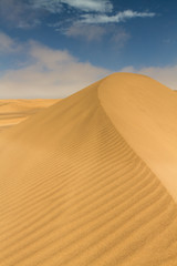 Fototapeta na wymiar On top of a yellow sand dune