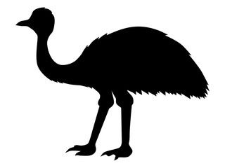 ostrich emu