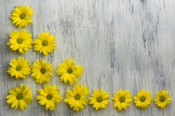 A flower of chrysanthemum on a wooden surface. The background
