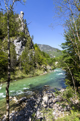 Fototapeta na wymiar Fluss Salza bei Ortschaft Wildalpen, Salzatal,Steiermark,Österreich
