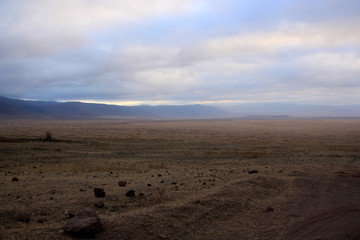 African wildlife, Tanzania, Ngorongoro Conservation Area