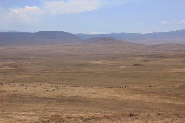 African wildlife, Tanzania, Ngorongoro Conservation Area