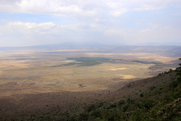African wildlife, Tanzania, Ngorongoro Conservation Area