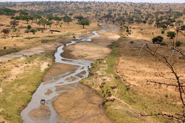 African wildlife, Tanzania, Ngorongoro Conservation Area