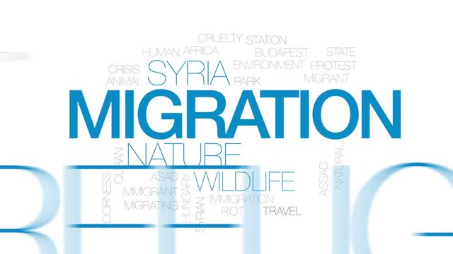 Migration animated word cloud, text design animation. Kinetic typography.