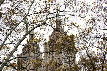 Manhattan Buildings through Central Park Autumn Tree