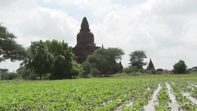 Pagodas in Bagan, Myanmar