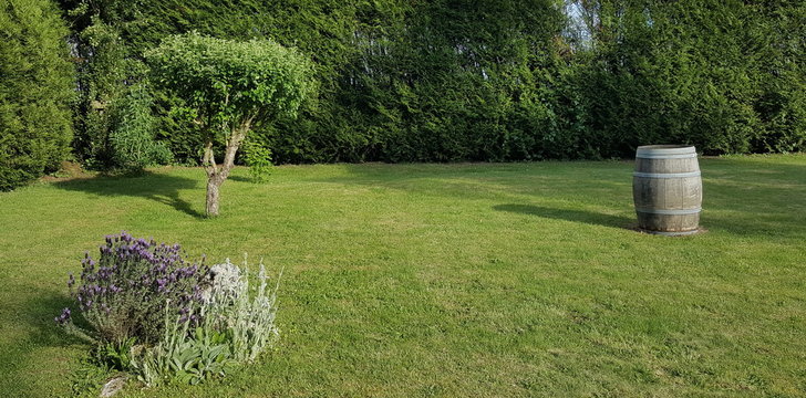 Jardin