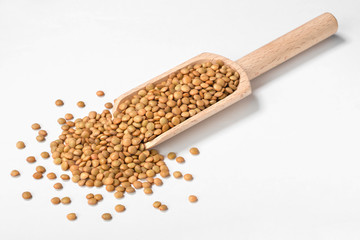 uncooked lentils on white, (large depth of field, taken with tilt shift lens)