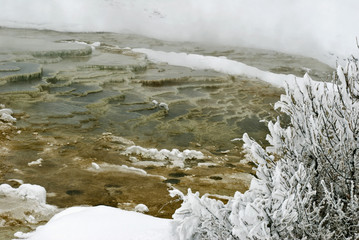 Winter, Mammoth Hot Springs, Yellowstone NP © Jerry
