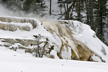 Winter, Mammoth Hot Springs, Yellowstone NP