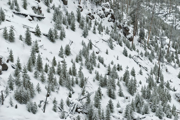 Winter, Yellowstone NP