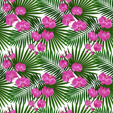 Tropical Seamless Pattern with Orchid