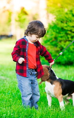  Boy, dog, garden, serious