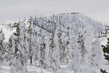 Winter, Snow, Yellowstone NP