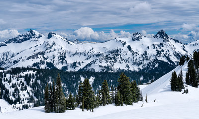 Fototapeta premium Mt. Rainier National Park