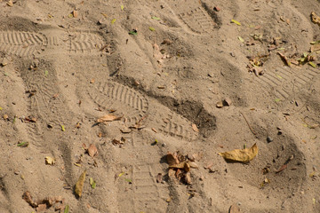 Footprint on the beach