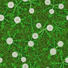 Бесшовная векторная текстура зеленой травы со зрелыми пушистыми белыми одуванчиками


