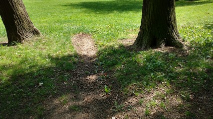 Ein Weg im Stadtpark