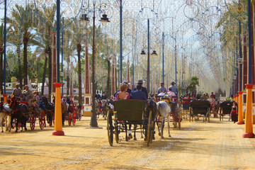 Naklejka premium beautiful Andalusian horses in harness at the festival