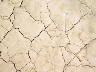 Fototapeta premium Texture of arid land