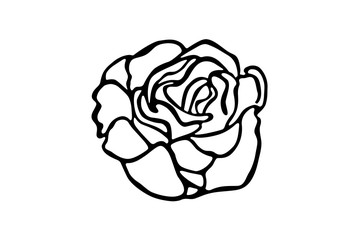 Vector illustration of a rose, hand drawn outline,