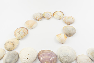 Wave of sea formed by snails.