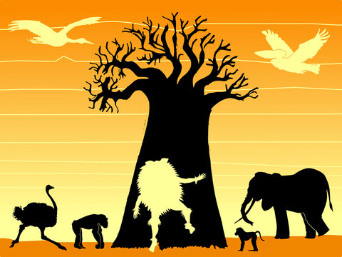 African shaman