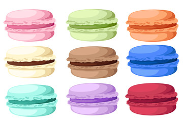Vector illustration isolated on background Tasty colorful french macaron