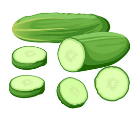 Vector illustration isolated on white background Fresh cucumber: cut, sliced and cubed. Cooking illustration in modern flat vector style.